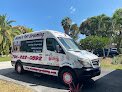 Negocio Miami's Pet Grooming (mobile)