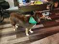 Negocio Michele's Pet Spa, Llc