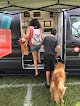 Negocio Mobile Grooming Wesley Chapel | A La Mode Canine | Pet Grooming Wesley Chapel