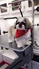 Negocio Mobile Pet Grooming