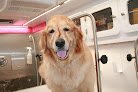 Negocio Mobile Pet Grooming West Palm Beach