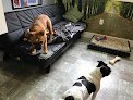 Negocio Mountaineer Pet Care Center