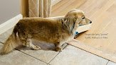 Negocio Mrs Anderson's Pet Groom & Dog