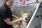 Negocio Muddy Pawz Pet Salon Llc