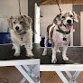 Negocio Murphy’s Grooming Place