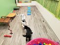 Negocio Nana Doggie Grooming
