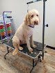 Negocio Nima & Sashi's Pet Salon