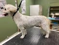 Negocio Northern Vermont Pet Grooming