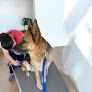 Negocio Outshine Grooming