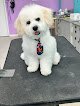 Negocio Pampered Paws Pet Grooming