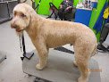 Negocio Paradise Paw Spa Llc