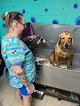 Negocio Passion 4 Paws Dog Spa