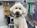 Negocio Paw Dat Pet Grooming, Daycare, & Boarding
