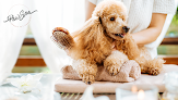 Negocio Paw Spa, Llc.