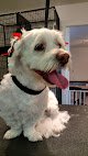 Negocio Paw-fect Cuts Llc