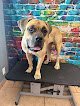 Negocio Paw-lished Pets Salon