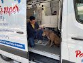 Negocio Pawmper Fluffy Salon And Mobile Pet Spa