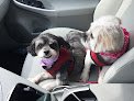 Negocio Paws And Suds Pet Grooming