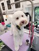 Negocio Paws Fur Grooming - Holly Springs