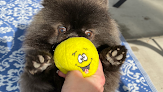 Negocio Paws On Cherry