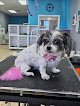 Negocio Paws On Point Dog Grooming