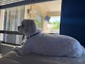 Negocio Paws R Us In-home Mobile Grooming