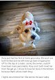 Negocio Paws R Us In-home Mobile Grooming
