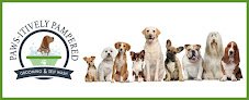 Negocio Paws-itively Pampered Grooming & Self Wash