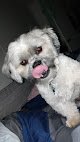 Negocio Paws-n-claws Pet Grooming