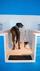 Negocio Pawsh Dog Wash