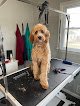 Negocio Pawsitive Grooming