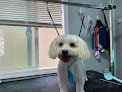 Negocio Pawsitively Pampered Grooming