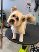 Negocio Pawsitively Pet Parlor