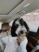 Negocio Perfectpaws Doggie Spa