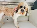 Negocio Pet Care Mobile Grooming