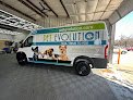Negocio Pet Evolution - Frisco, Tx - Grooming | Self-wash | Healthy Food | Mobile Nail Trim