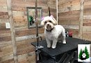 Negocio Pet Grooming In The Pines