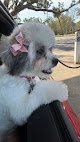 Negocio Pet Grooming