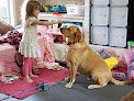 Negocio Pet Haven Llc
