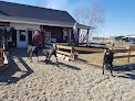 Negocio Pet Palace | Emmett Id Dog Grooming & Boarding