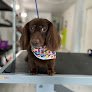 Negocio Pet Paradise Grooming