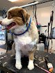 Negocio Pet Parlor Pet Grooming ,llc