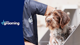 Negocio Petco Grooming