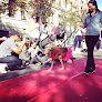 Negocio Pets On Broadway Nyc