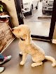 Negocio Pets R Us Grooming & Spaws