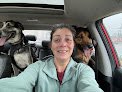 Negocio Pets Transformation & Boarding, Llc