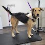 Negocio Phases Pet Salon