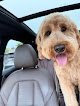 Negocio Plontzie's Mobile Pet Grooming Llc