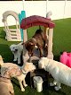 Negocio Precious Paws-pet Grooming Salon