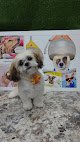 Negocio Preferred Pet Grooming